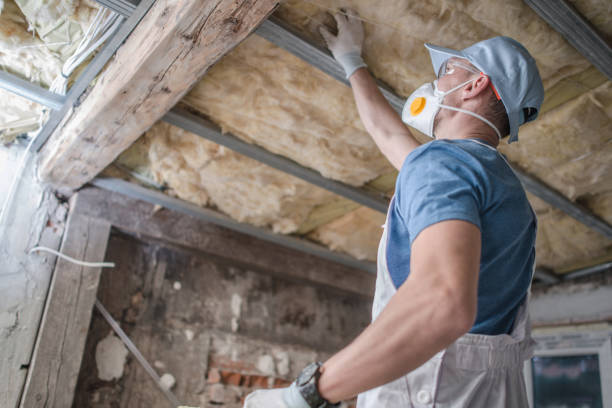 Types of Insulation We Offer in Hallstead, PA