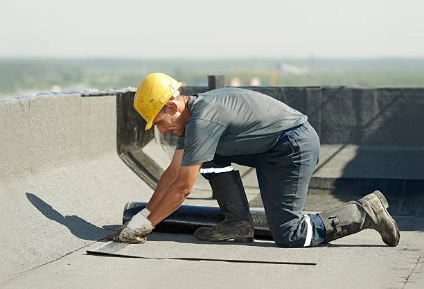 Best Geographic-Specific Insulation Services in Hallstead, PA