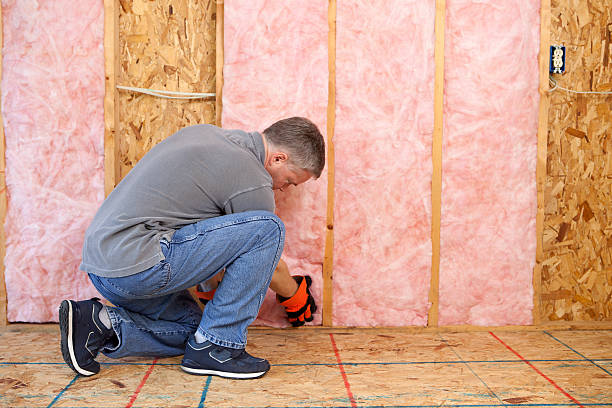 Best Specialized Insulation Services in Hallstead, PA