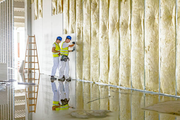 Best Insulation Maintenance and Repair in Hallstead, PA